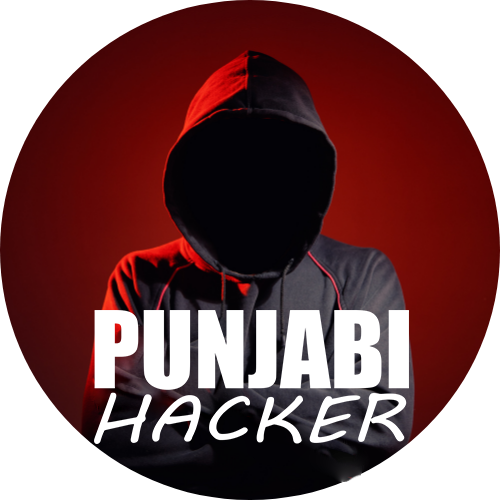 Punjabi Hacker logo