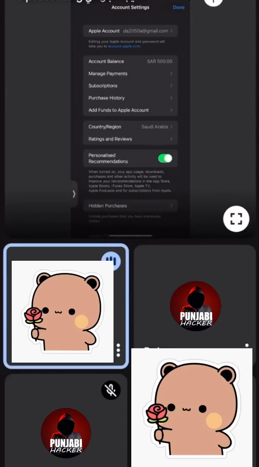 Video preview
